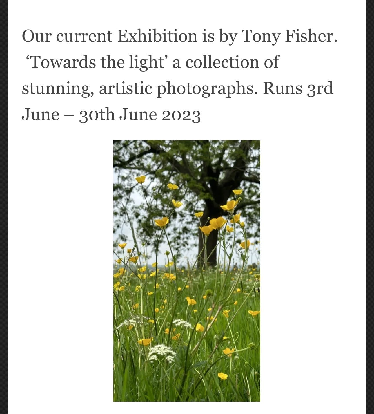 Towards the Light - Exhibition by Tony Fisher
